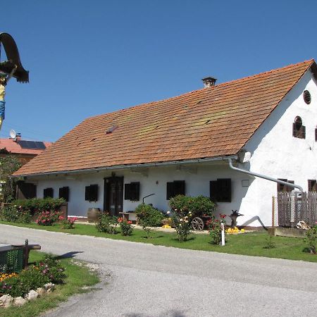 Homestay Kapl Ledinek Exterior foto